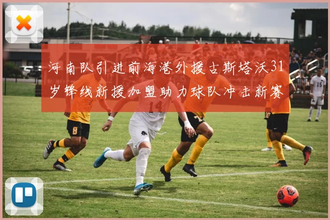 河南队引进前海港外援古斯塔沃31岁锋线新援加盟助力球队冲击新赛季